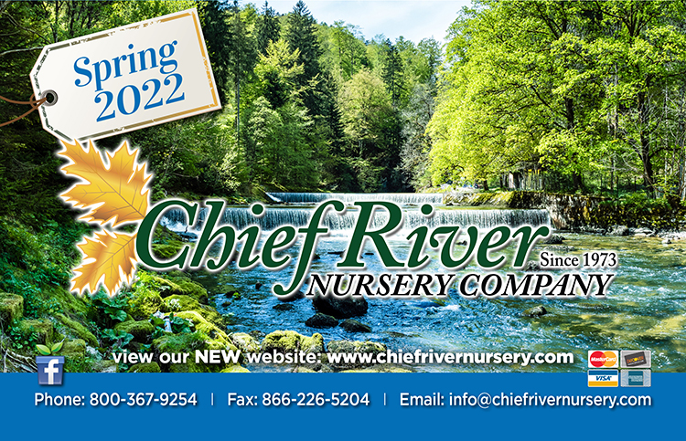 Download Chief River Catalog
